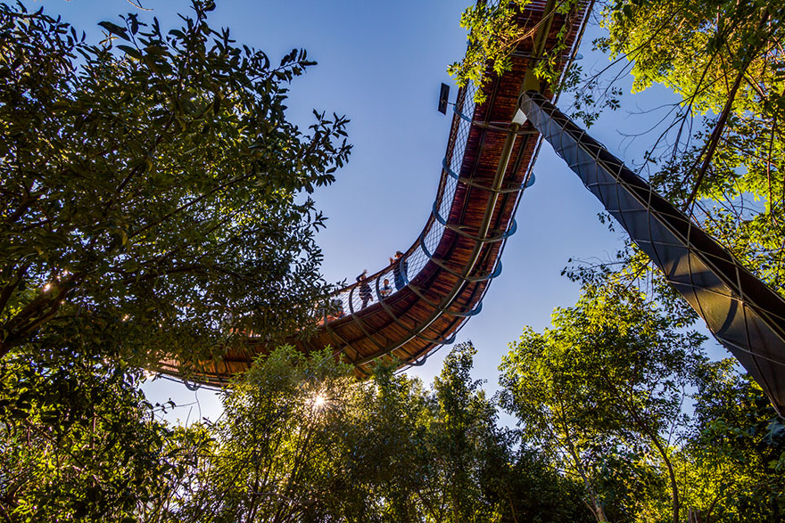 Sud-Africa-AD-Tree-Canopy-Walkway-Path-Kirstenbosch-National-Botanical-Garden-08