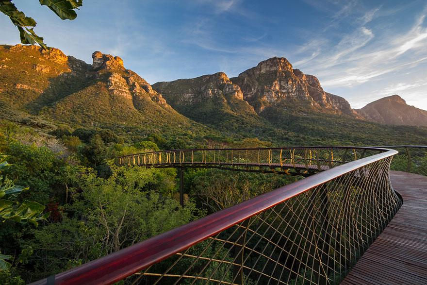 Sud-Africa-AD-Tree-Canopy-Walkway-Path-Kirstenbosch-National-Botanical-Garden-10