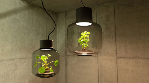 Lamp-mygdal-nui-studio-lamp-lit-terrariums-gangherista-doppelgangher-1
