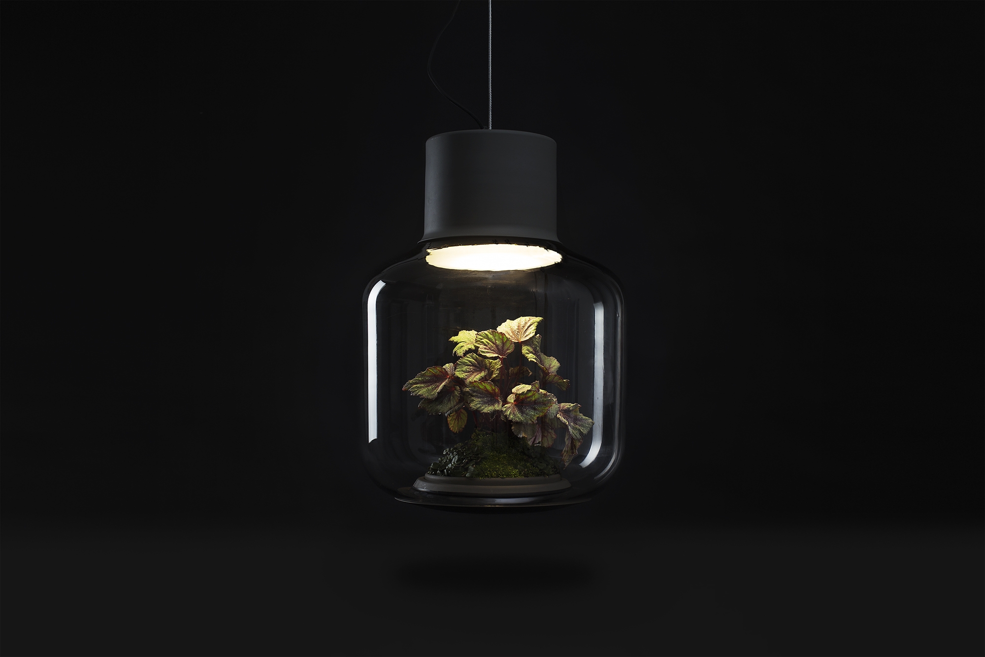 Lamp-mygdal-nui-studio-lamp-lit-terrariums-gangherista-doppelgangher-3