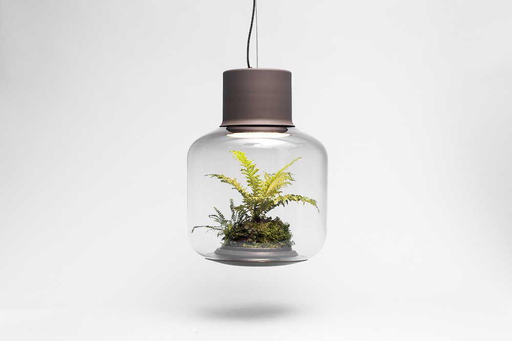 Lamp-mygdal-nui-studio-lamp-lit-terrariums-gangherista-doppelgangher-4