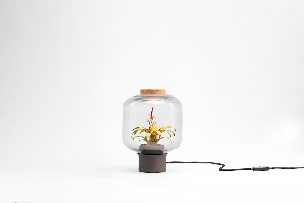 Lamp-mygdal-nui-studio-lamp-lit-terrariums-gangherista-doppelgangher-5